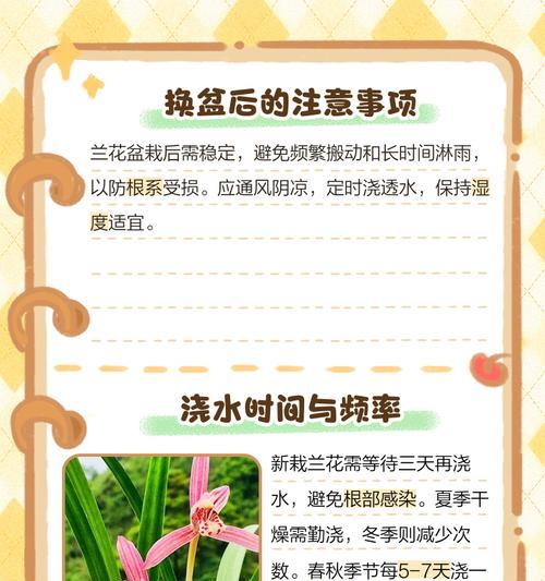 兰花培植的正确方法是什么？如何照顾兰花？