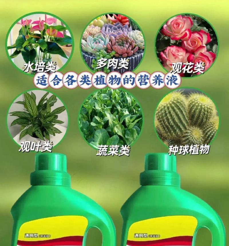 花的营养液配制方法是什么？