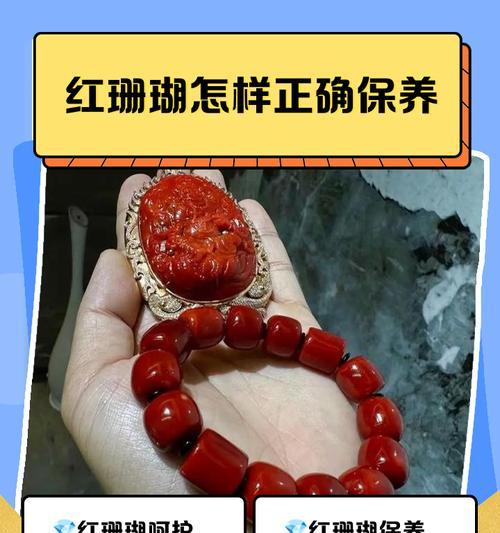 珊瑚繁殖方法是什么？如何在家中进行珊瑚繁殖？