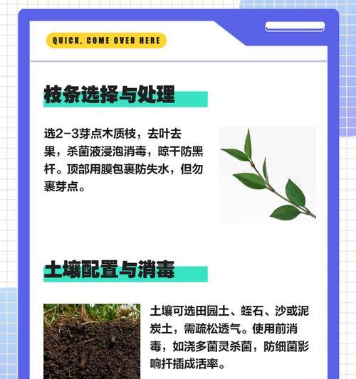无花果繁殖的有效方式是什么？