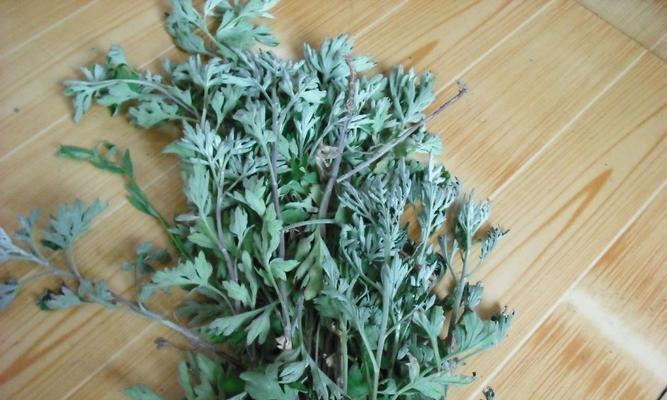 艾草花的外观特征有哪些？