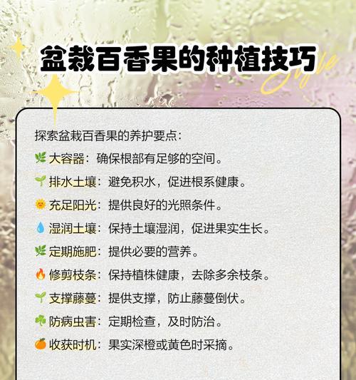 阳台种植百香果的步骤和注意事项有哪些？