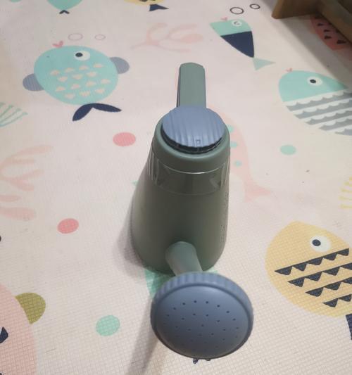 浇花的最佳时间：什么时候给植物浇水最合适？