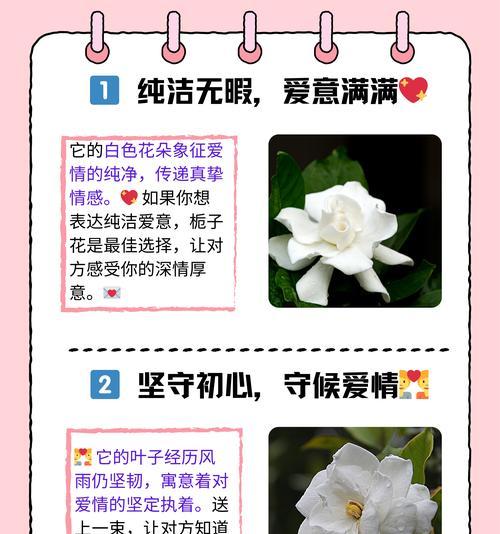 枝枝花繁殖的有效方法有哪些？