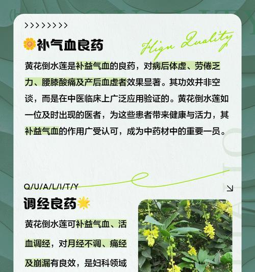 水莲的养殖方法是什么？如何确保水莲健康成长？