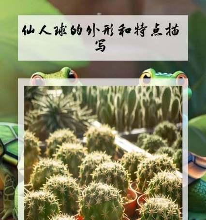 仙人球栽种的正确方法和注意事项？