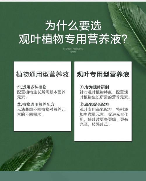 发财树应该施什么肥料？如何正确施肥？
