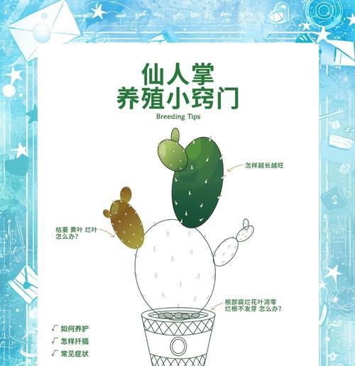 仙人掌在园艺中象征着什么？仙人掌的象征意义对种植有何启示？