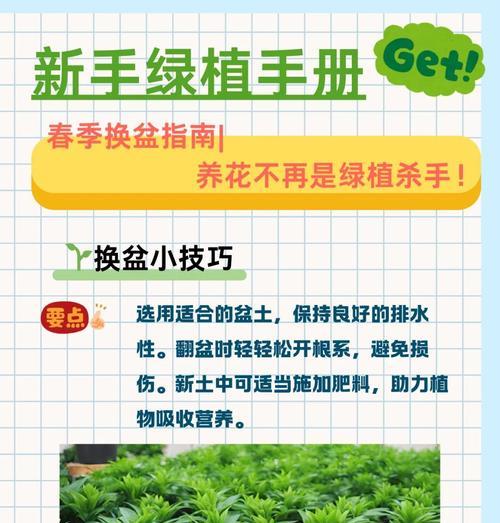 高盆植物换盆的最佳时机和方法？