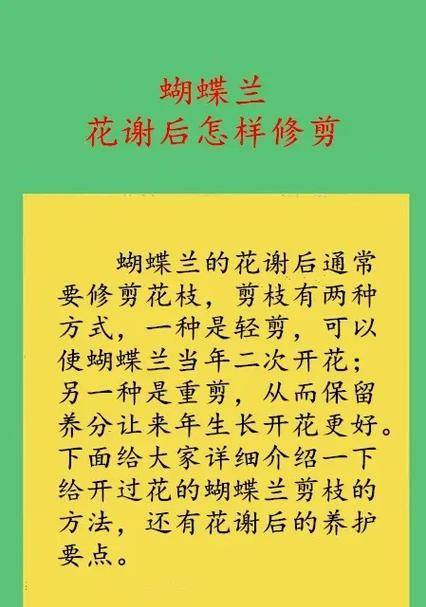 家里养殖蝴蝶兰的注意事项有哪些？