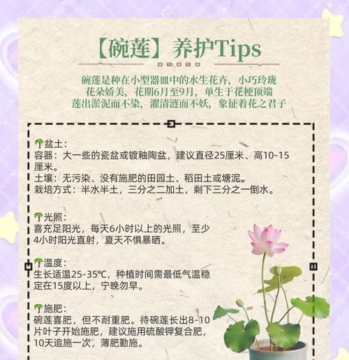 碗莲的养殖方法和常见问题解答？