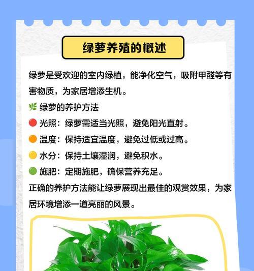 绿萝修剪的最佳时机和方法是什么？