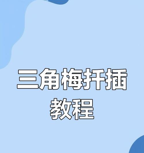 三角梅插枝的正确步骤和技巧是什么？