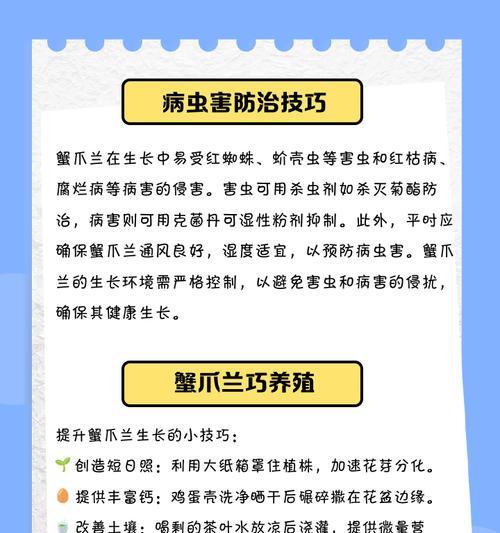 蟹爪兰的养殖方法有哪些？如何让蟹爪兰长得更好？