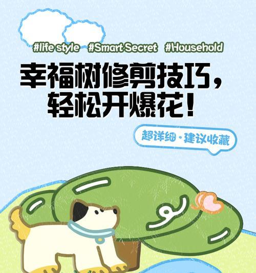 幸福树过高如何修剪保持美观？