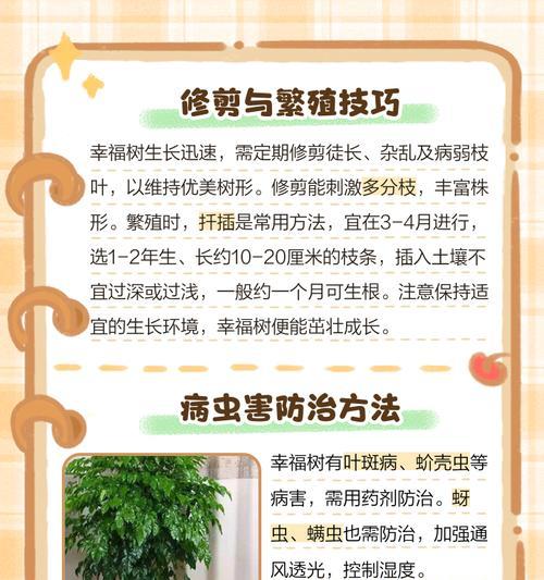 幸福树过高如何修剪保持美观？