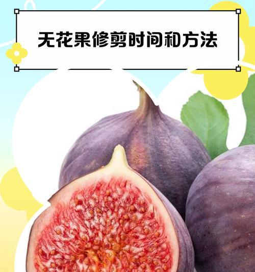 无花果树修剪方法是什么？