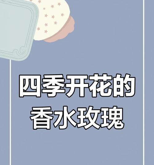 进口玫瑰花的养护方法和常见问题解答是什么？