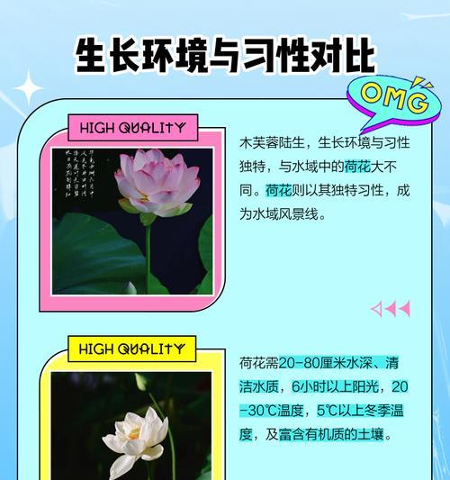 水芙蓉怎么养护？水芙蓉的日常护理和繁殖方法是什么？