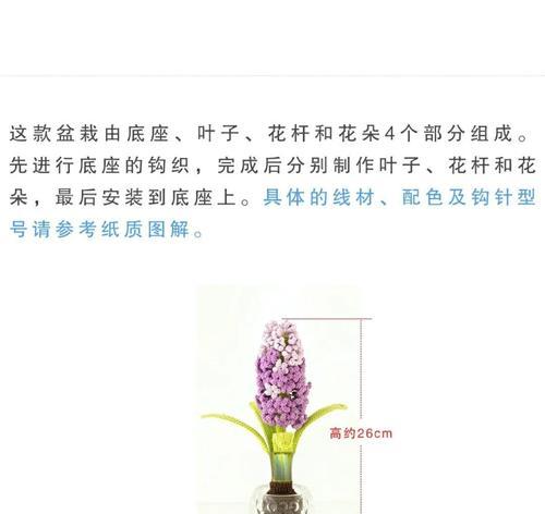 风信子开花后处理步骤是什么？