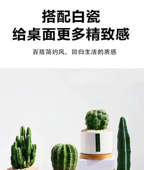 仙人掌仙人指的养殖技巧是什么？