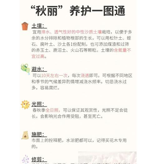 丽娜植物的养护技巧有哪些？