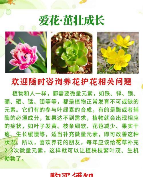 卉是什么意思？卉的定义和用途是什么？
