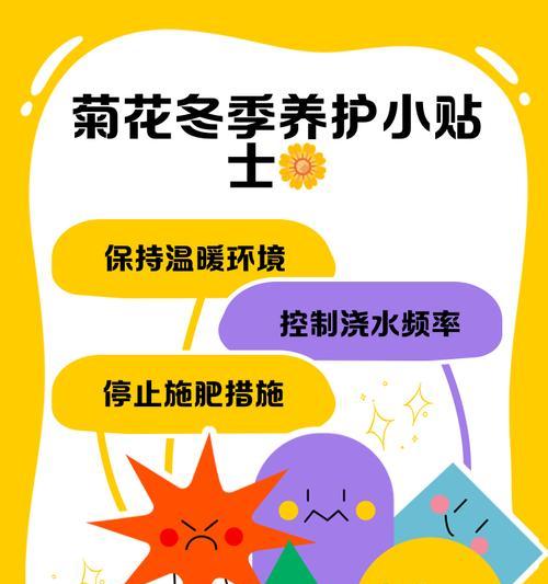 菊花小苗怎么养护？养护的正确步骤是什么？