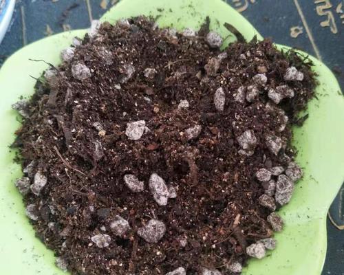 草炭土是什么？草炭土在植物种植中的作用是什么？