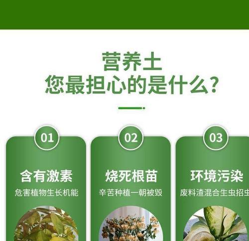草炭土是什么？草炭土在植物种植中的作用是什么？