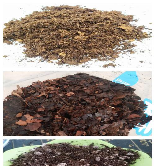 草炭土是什么？草炭土在植物种植中的作用是什么？