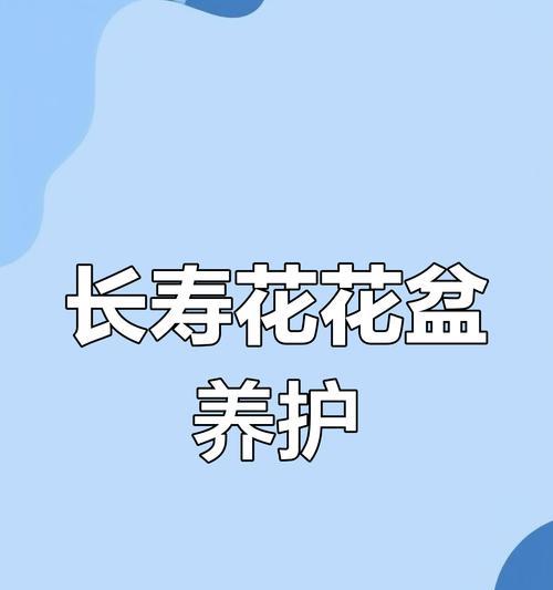 长寿花栽培技巧有哪些？