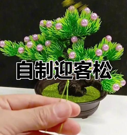盆景制作的基本步骤和技巧有哪些？