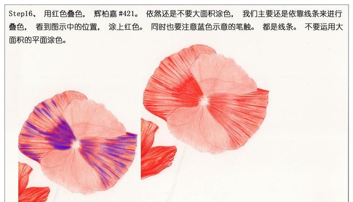 罂粟花提取方法有哪些？需要注意什么？