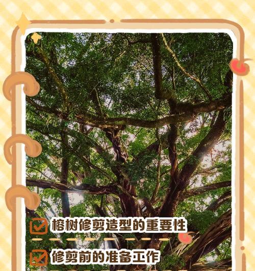 榕树修剪技巧有哪些？