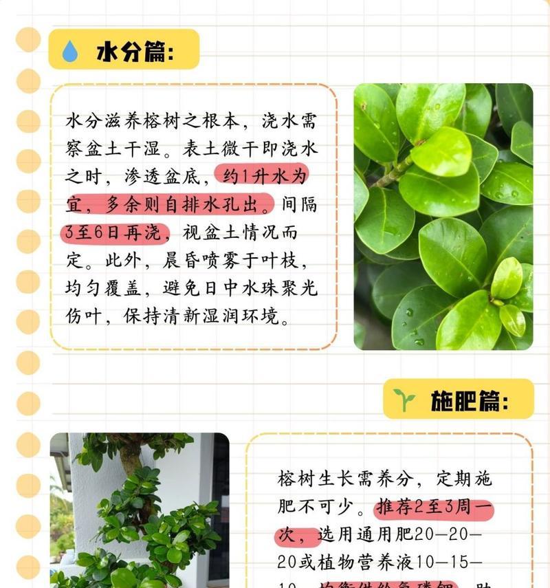 榕树修剪技巧有哪些？