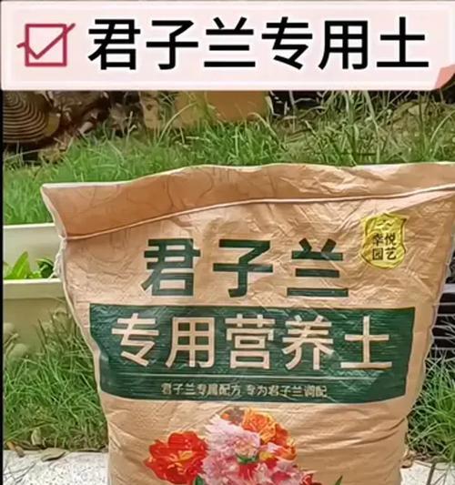 君之兰的适宜土壤类型是什么？