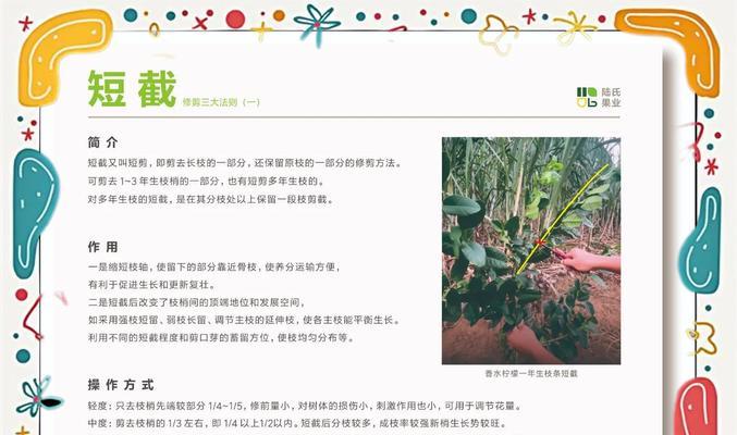 柠檬种植技术要点是什么？