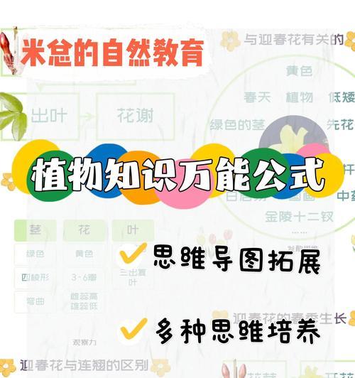 迎春花的养殖要点是什么？