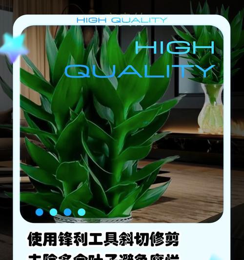 富贵竹塔怎么做？制作富贵竹塔的步骤是什么？