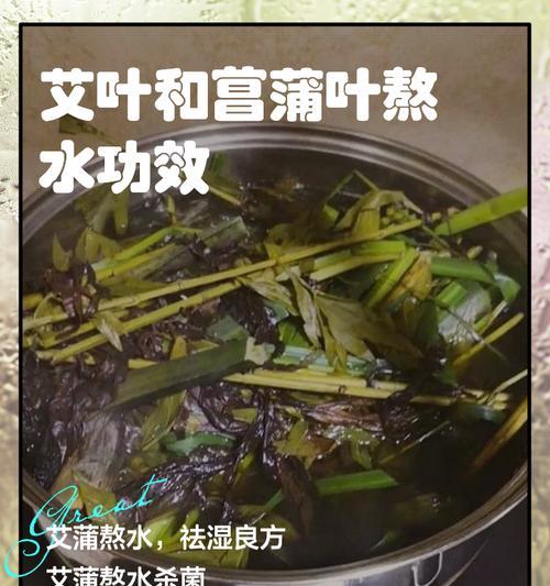 菖蒲换盆技巧：菖蒲换盆的最佳时间和方法是什么？