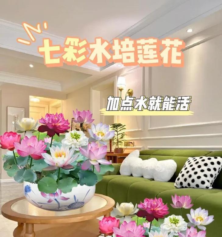 水培盆栽怎么开始？水培盆栽的正确步骤是什么？