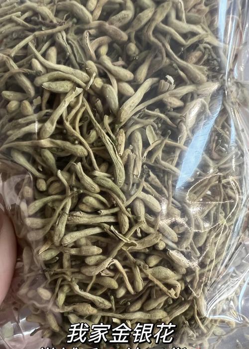 金银花的外观特征是什么？