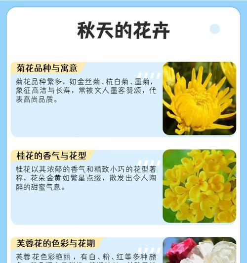秋季花卉有哪些推荐？秋季如何养护花卉？