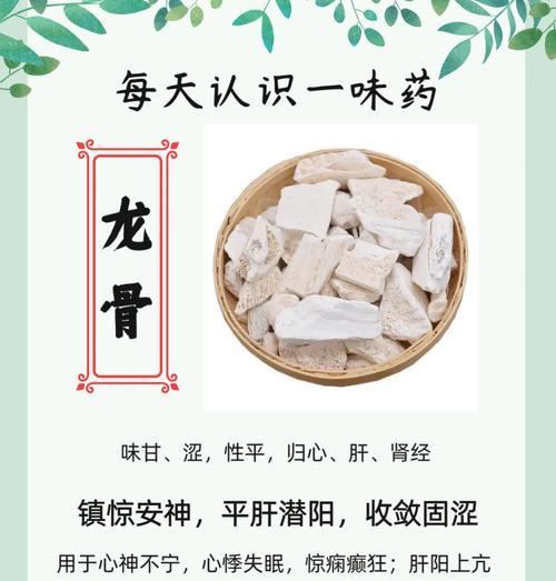 龙骨掉叶子是怎么回事？找出原因并解决！