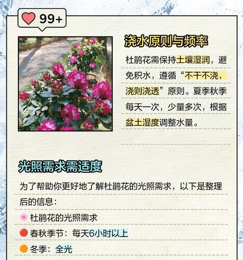 花卉浇水的最佳时间和方法是什么？