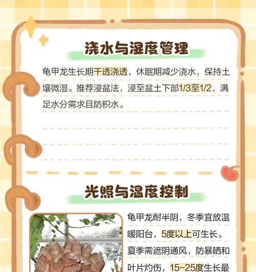龟甲龙用什么土？龟甲龙的土壤选择和种植方法是什么？
