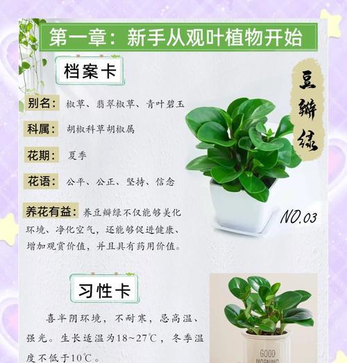 豆瓣绿叶子繁殖方法是什么？