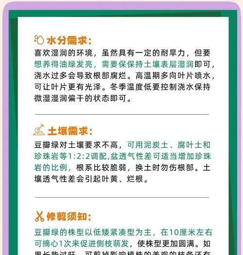 豆瓣绿叶子繁殖方法是什么？