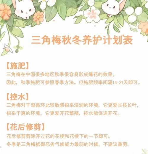 如何促进三角梅多开花？
